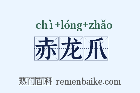 赤龙爪是什么意思的图片